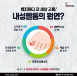 더네일 앤 레푸스진접점