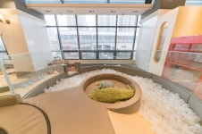 슈슈봉봉 인천논현점