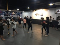 복싱 주짓수 킥복싱 팀켈리