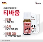 더네일 앤 레푸스진접점