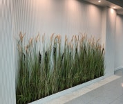 THE CLASS 스터디카페 수내점