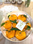 푸릇시스터