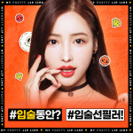 더루루의원