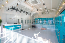 아이조아요양보호소 동탄점