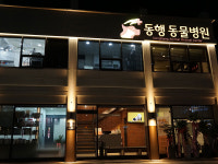 동행동물병원