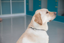 아이조아요양보호소 동탄점