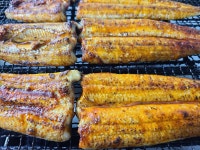 덕순네 장어랑 메기랑