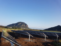 유현태양광발전소