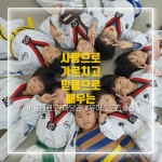 비룡태권도 하당관