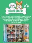 광은약국