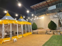 세븐애견카페 애견호텔