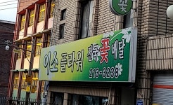 이소플라워
