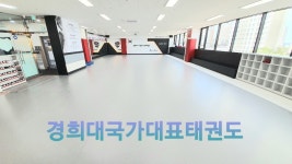 경희대국가대표태권도