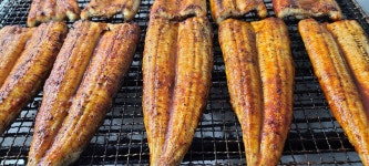 덕순네 장어랑 메기랑
