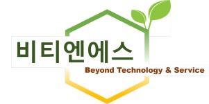비티엔에스