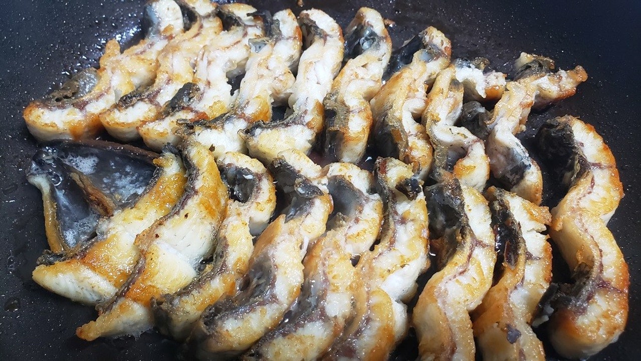 심명진 민물장어