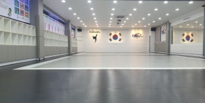 용인대국가대표태권도장