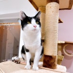 아이조아요양보호소 동탄점