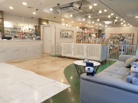 올리브동물병원