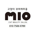 고양이미용 미오 용인점