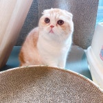 아이조아요양보호소 동탄점