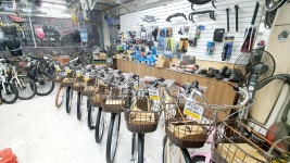 알톤스포츠 원성점