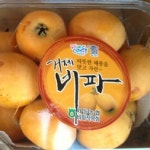 유자묘목 도토리커피나무묘목 장미묘목 비파창조농원