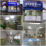 셀파우등생교실 평화지곡초교실