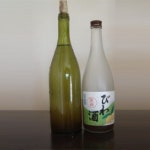 유자묘목 도토리커피나무묘목 장미묘목 비파창조농원