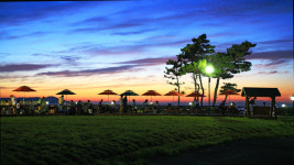 태안 골든웨이브펜션