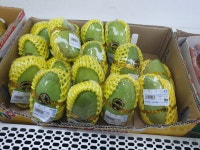 아시아마트