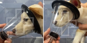 댕고카