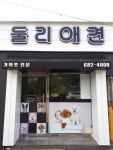 둘리애견