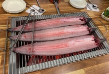 고창풍천장어