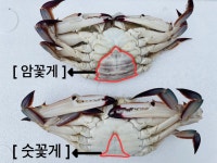 명천냉동수산