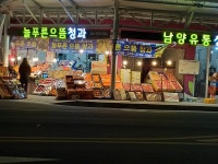 늘푸른으뜸청과