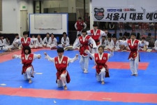 용인대석사 서울시대표 태권도