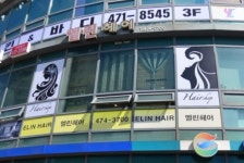 엘린헤어