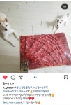 명품한우