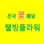웰빙플라워