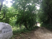 국립김천치유의숲