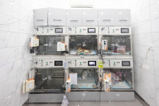 24시더나은동물메디컬센터