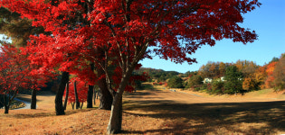 크리스탈 밸리CC