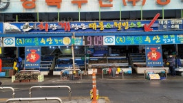 태풍&웰빙수산
