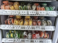 아이스홀릭 해밀점