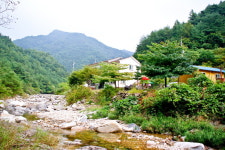 수주농원