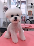 설레임청담