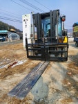 서일건기