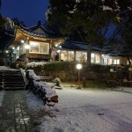 오리사냥
