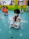 경희대한결태권도